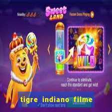 tigre indiano filme indiano tigre e drago