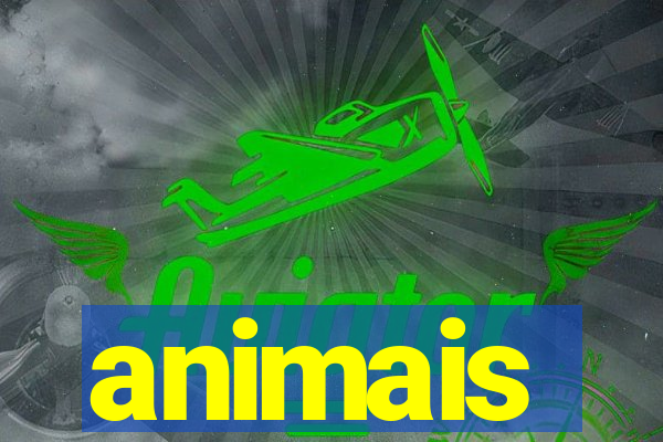 animais-pg.com