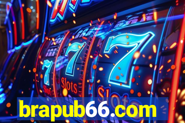 brapub66.com