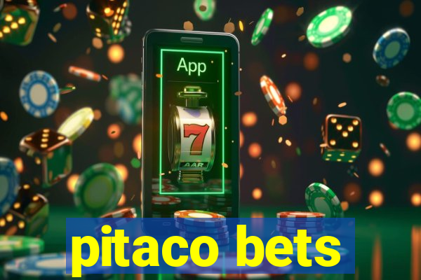 pitaco bets