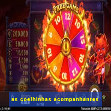 as coelhinhas acompanhantes