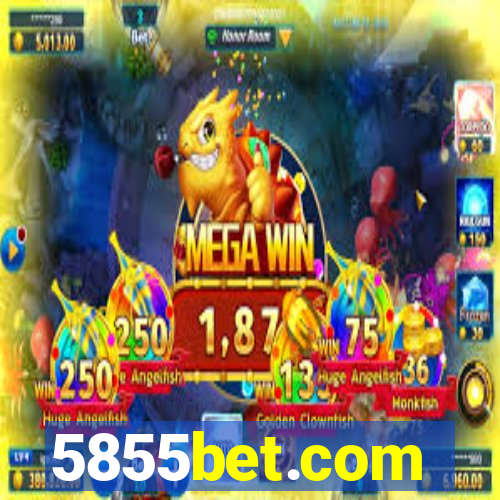 5855bet.com