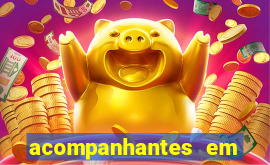 acompanhantes em altos pi