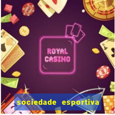 sociedade esportiva palmeiras x botafogo futemax