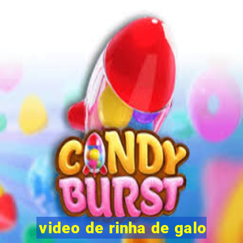 video de rinha de galo