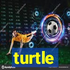 turtle-ty.com